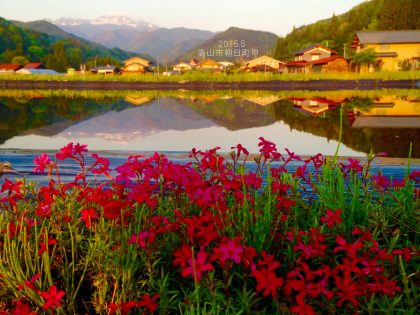 日本乡村的四个季节，十二种颜色 | 自然文化之旅