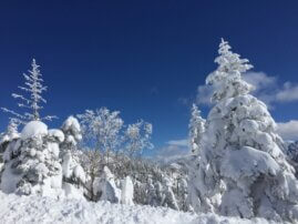 海拔1,475m的祖国滑雪铃兰高原（附赠秋神温泉浴） | 商务之旅