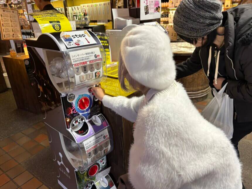 飞驒清酒杯硬币服务器 + 编织马/蛙/凤凰工艺品 | 发酵美食与手作体验