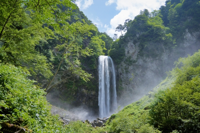 平湯自然散策路の名所をめぐる森林浴と温泉入浴 | 自然・文化体験
