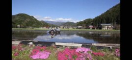 「飛騨米郷土学」in飛騨高山朝日町 | 自然・文化体験