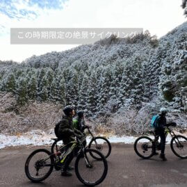 この時期限定の絶景サイクリング