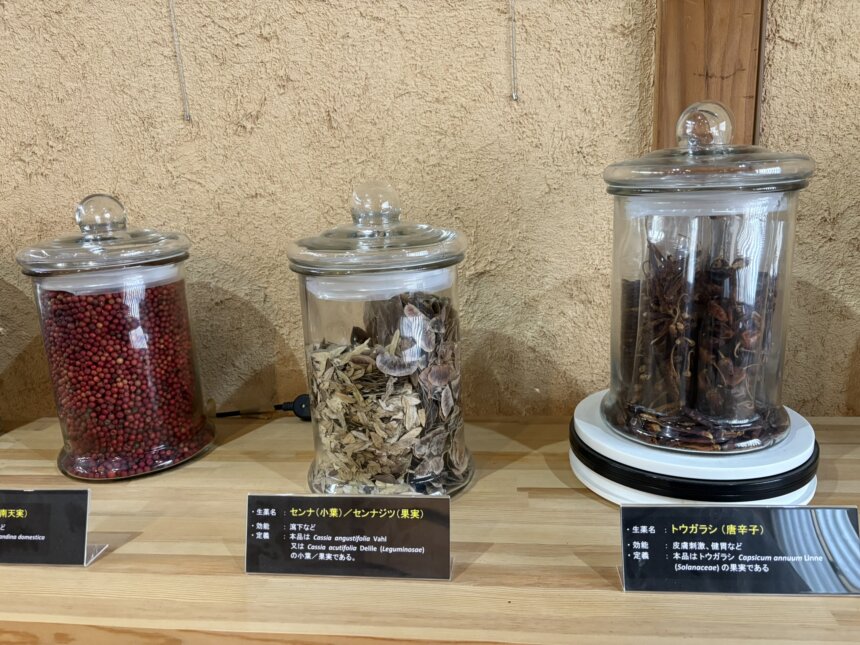 薬草ティーセレモニー | 発酵食・クラフト体験