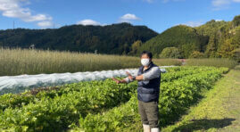 在生態農場體驗日本無農藥栽培 | 鄉村體驗
