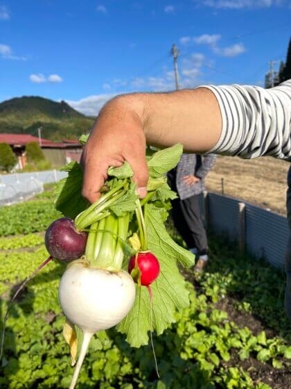 在生態農場體驗日本無農藥栽培