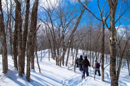 Snowshoe and snow mountain experience at 1,475m above sea level (with Akigami Onsen bathing)