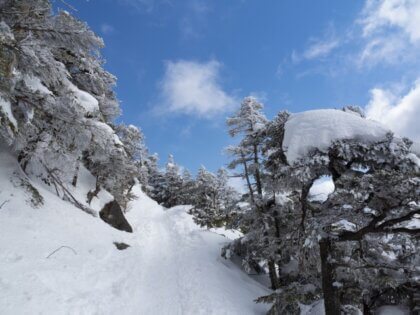 Backcountry skiing at 1475m above sea level Suzuran Kogen (with Akigami Onsen bathing)