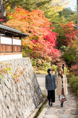 Tour the Higashiyama promenade | Nature/Cultural Experience