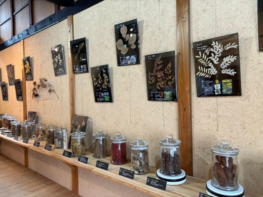 Herbal Tea Ceremony | Fermented Food & Craft Experiences